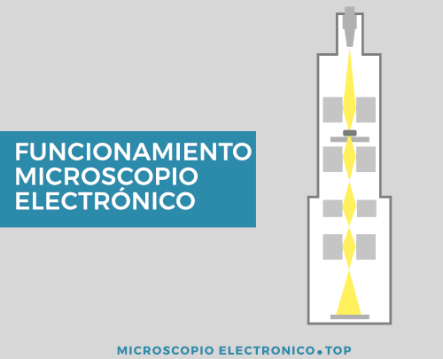 Funcionamiento del microscopio electrónico