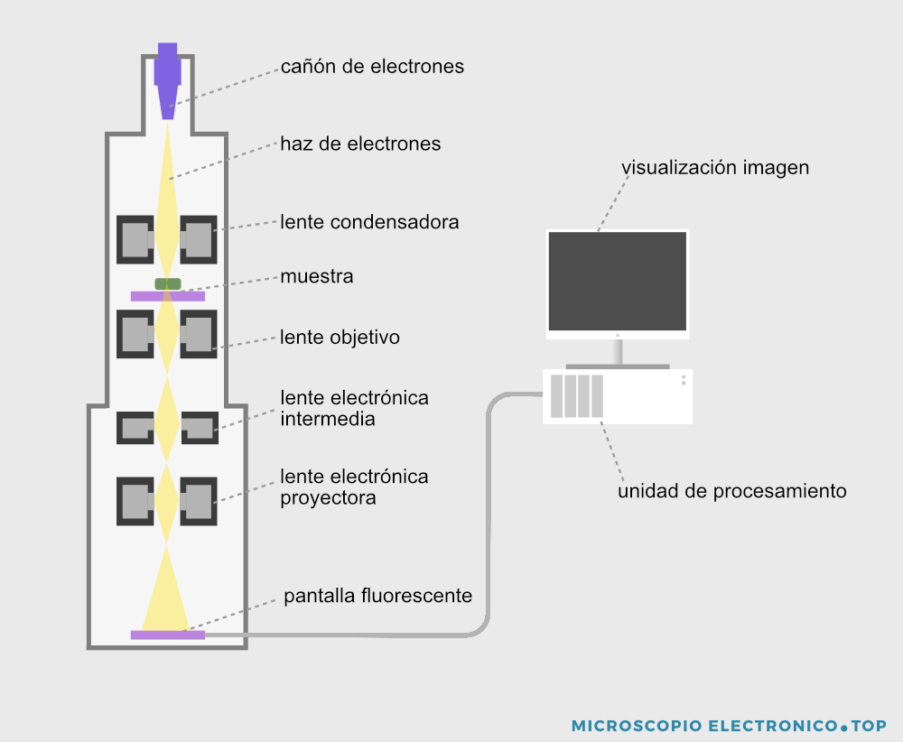 partes-microscopio-electronico-transmision