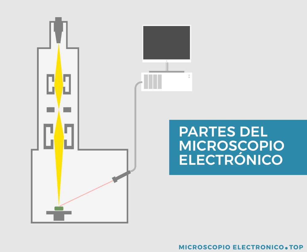 partes-microscopio-electronico