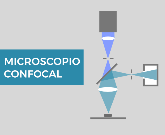 microscopio-confocal-thumb