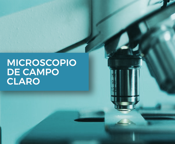 microscopio-campo-claro-thumb