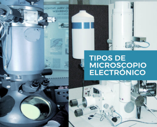 Tipos de microscopio electrónico